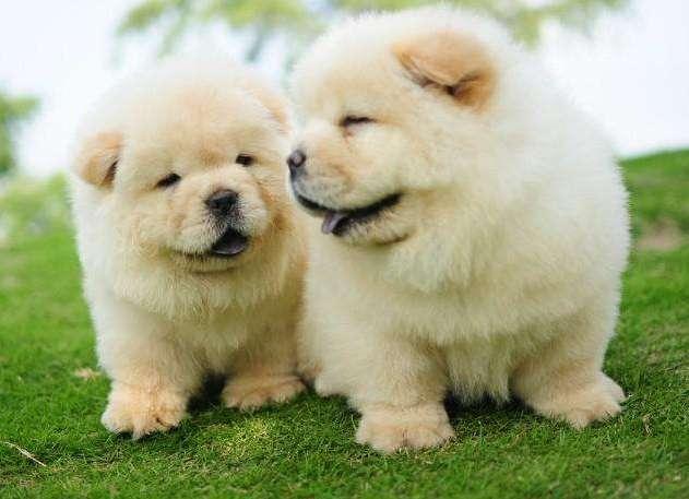 1619149579355861.jpeg 0b55b319ebc4b7456adb588c9c24b9118b82153f.jpeg