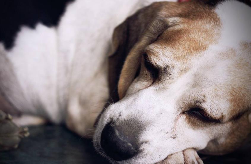 1620801464311782.jpg src=http_%2F%2Fi-1.yxhqj.com%2F2018%2F9%2F21%2F4bba9fc1-4797-4137-a437-5e674bf538f2.jpg&refer=http_%2F%2Fi-1.yxhqj.jpg