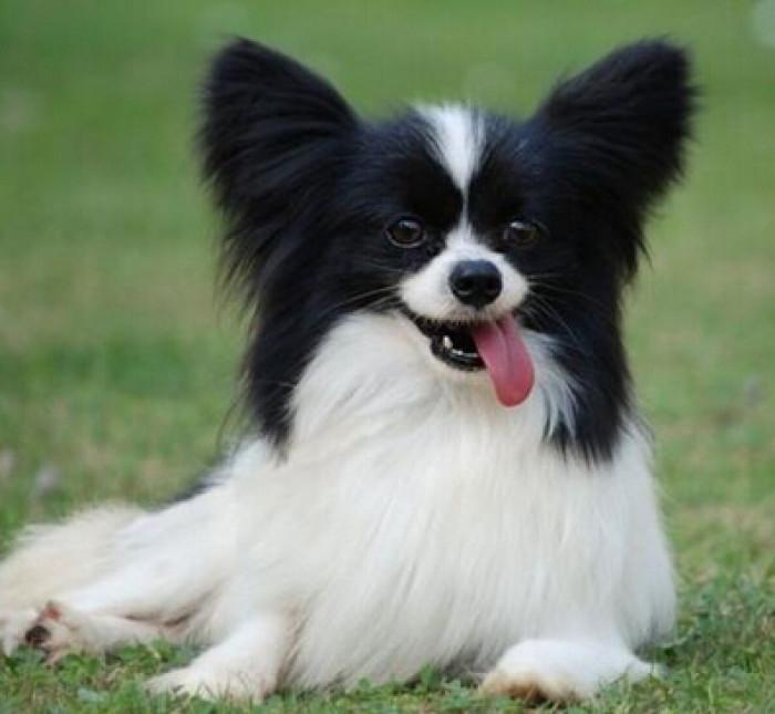 1622093225707585.jpg src=http_%2F%2Fa-ssl.duitang.com%2Fuploads%2Fitem%2F201503%2F19%2F20150319181250_Ue4J5.thumb.700_0.jpeg&refer=http_%2F%2Fa-ssl.duitang.jpg