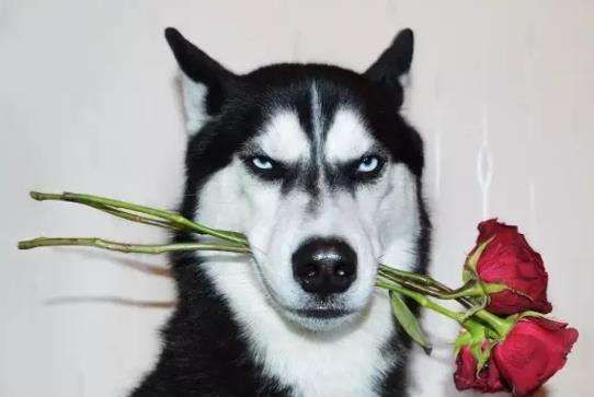 1625808210967394.jpg ic3.zhimg.jpg