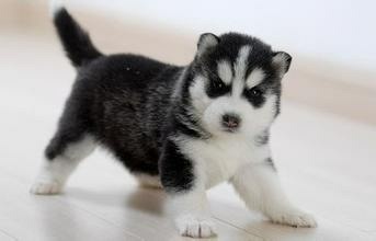 1625808345767624.jpg uitang.jpg