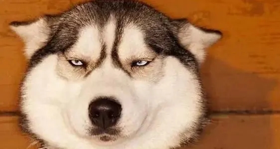 1625808461846736.jpg to&gp=0_看圖王.jpg