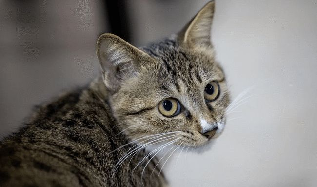 1630653337129770.jpg src=http_%2F%2Fnimg.ws.126.net%2F_url=http%3A%2F%2Fdingyue.ws.126.net%2F2021%2F0814%2F29d92be7p00qxtlox003wc000im00ayc.png&thumbnail=650x2147483647&quality=80&type=jpg&refer=http_%2F%2Fnimg.ws.126.jpg